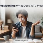 WTV Slang Meaning